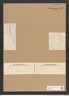 Diatomeae indet. (de-Toni-Nr.: Species 848? var.) Zeichnungen Sammlung Grunow Nr. 1687 (NHMW-BOT-W0368552)